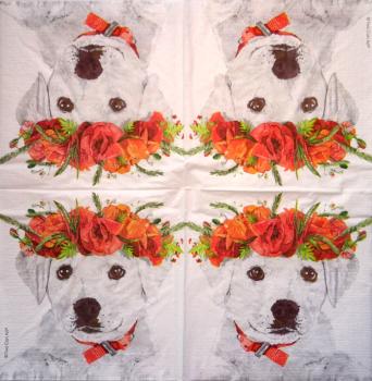 HUN-337 Hunde - 3-lagig - ppd - Two Can Art